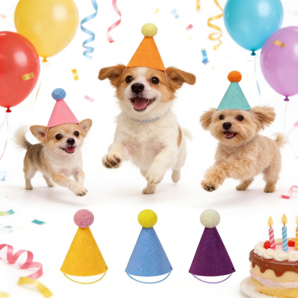 3/6pcs Pet Party Hat Colorful  - Party Hat Cone review and price